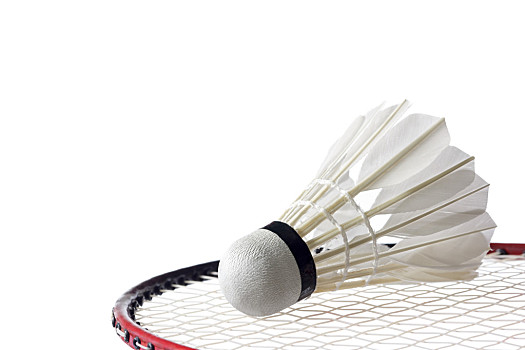 的输出本来 的输出本来